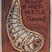 Prionus Californicus--Larva ACEO woodblock print