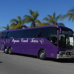 Pegasus Coach Tours