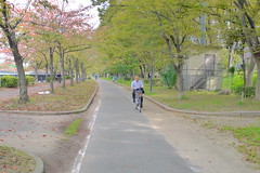 Bike Path in Osaka