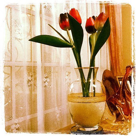 instagram2:Wooden tulips by Adibi