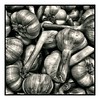 #garlic #variation #weeklymarket #bw #blackandwhite