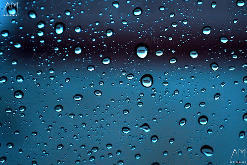 Rain Drops by Ankush Mittal13