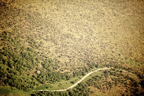 Plains of South Sudan