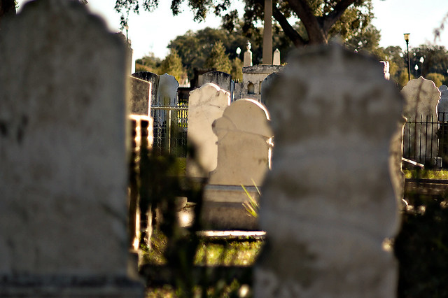 "The past was but the cemetery of our illusions: one simply stubbed one's toes on the gravestones."