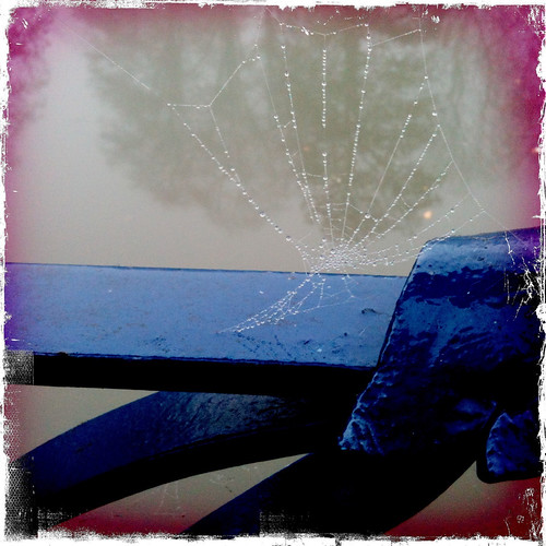 Spiderweb pearls
