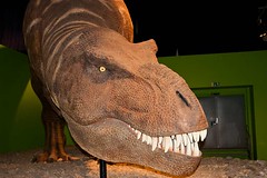 Maximilian-Park Hamm Dino-Ausstellung