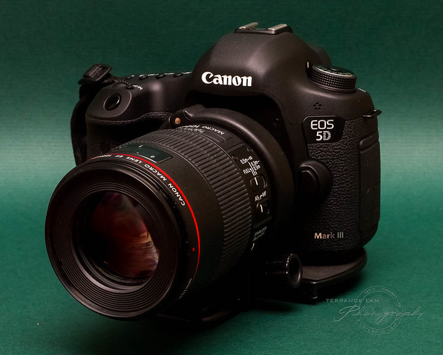Introducing the Canon EOS 5D Mark III
