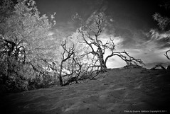 Infrared Death Valley (oct 2011)