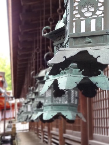 Kasuga Taisha Temple - Nara by girl from finito
