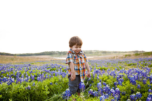 Anthony in Bluebonnets-0008