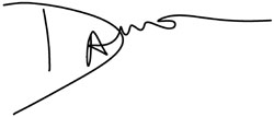 DTD Signature