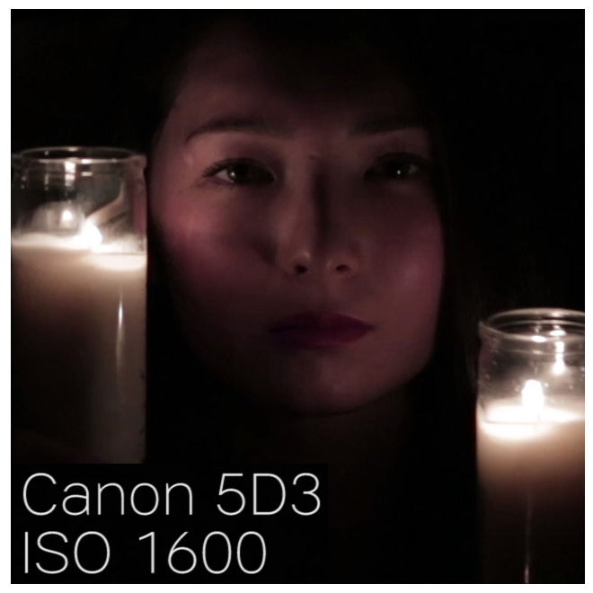 canon5d3_iso1600_100percentcrop