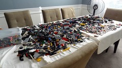 LEGO Organization Step 1