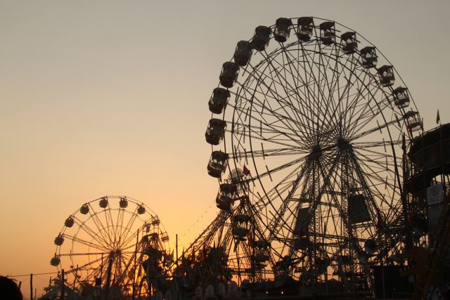 Ferris wheels at sunset