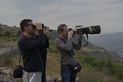 6.11.2011,LongLens Canon 500 4, Debre Libanos