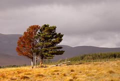 Schottland, Herbst 2011