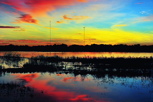 california ca travel blue sunset red orange reflection green water birds northerncalifornia yellow clouds catchycolors photography nikon colorful natural migratory nikkor habitat westcoast preserve sacramentocounty cosumnesriverpreserve d700 afs2470mm nxtrfoto nextierphotography