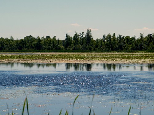 lake ontario canada water pond falls swamp smiths merrickville