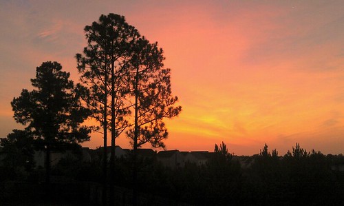 usa sc widescreen southcarolina columbia supershot flickrsbest abigfave flickrdiamond htcthunderbolt summitsunrise