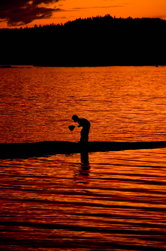 ocean sunset canada net fisherman child britishcolumbia gulfislands biology galianoisland nspp