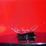 Gota de agua- Exhibición