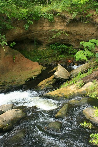 park water river georgia waterfall rocks augusta savahnnarapids