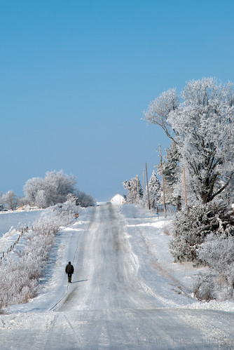 winter white snow cold tree ice fog landscape frozen frost hoarfrost country amish icy frozenfog kalona