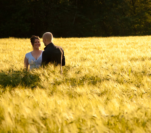 trees wedding smile field yellow norway rural forest happy countryside norge woods couple married dress wheat grain suit 5d sunndal canonef24105mmf4lisusm møreromsdal leikvin