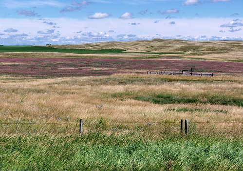blue canada color colour green fence riverside farm sk prairie saskatchewan agriculture 2011 canadagood thisdecade
