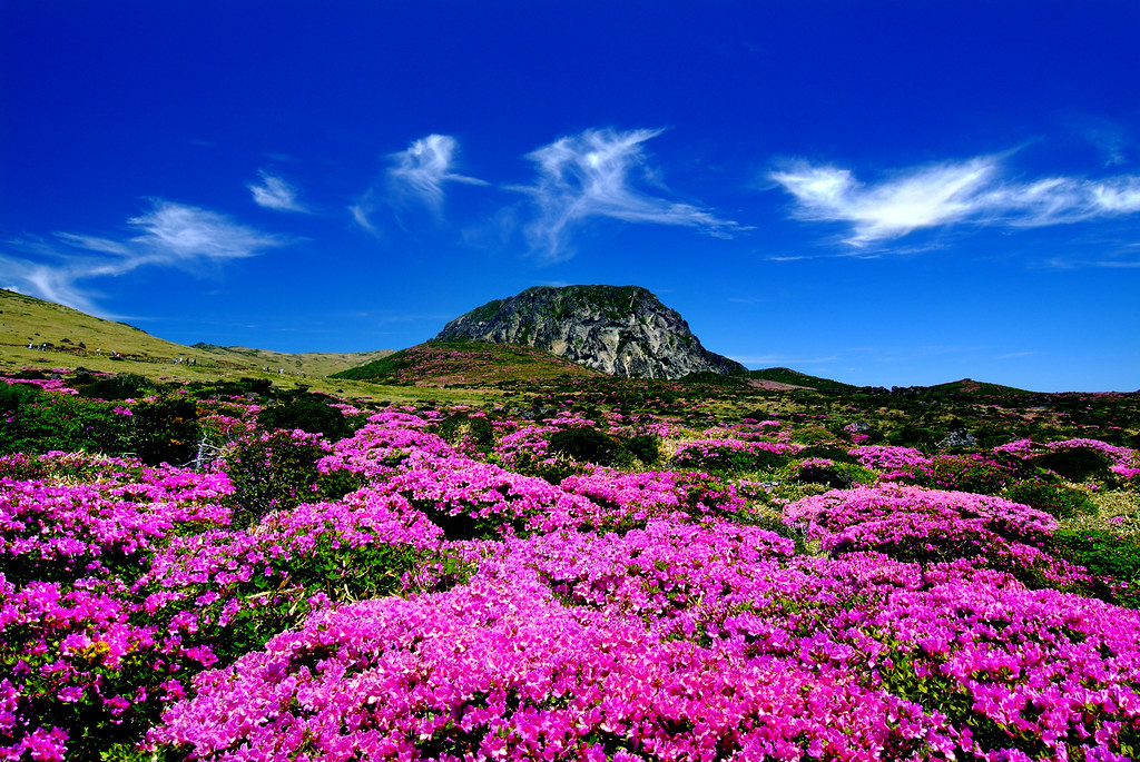 11 самых красивых мест в Корее, которые вы должны обязательно посетить