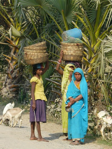 woman india colour rural work farmer bihar earthasia bateshwarsthan