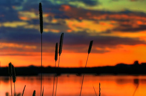 blue sunset summer sky orange color reflection grass river ottawa flats lebreton beyondhue