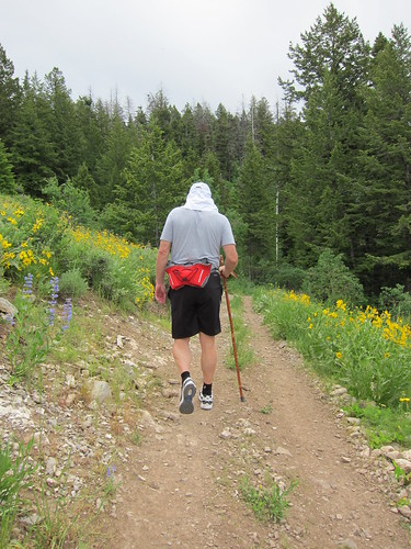 hiking, walking stick IMG_6856