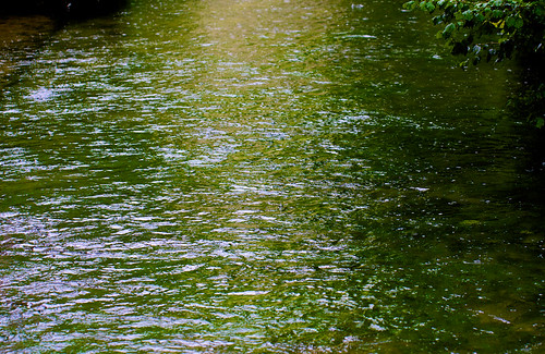 green river wasser grün fluss donau
