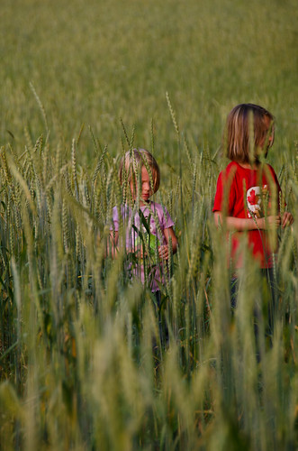 public durham cottage fields kiera eowyn