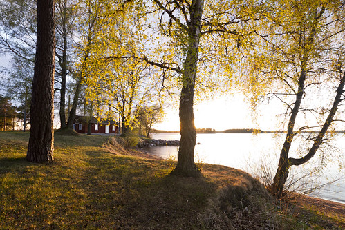 light red house lake tree leaves yellow sweden birch sverige vättern östergötland karlsborg sigma1020mmf456exdchsm canoneos7d