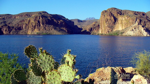 arizona photo flickr desert widescreen 169 canyonlake fourpeaks captainrick 16x9widescreen virtualjourney atridim pricklypaircactus virtualjourney2