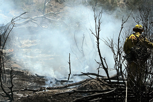 battalion5 vegetationfire eaglefire2011