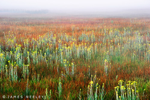 mist fog landscape idaho jamesneeley ruralidaho