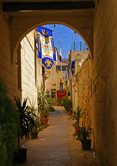 Decorated Alley