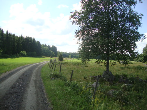 road summer panorama tree green nature landscape countryside sweden meadow dirtroad sverige sommar väg grusväg