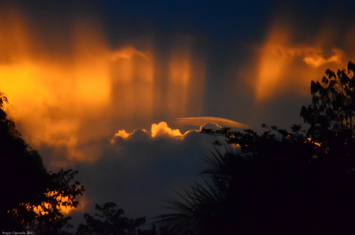 trees light sunset sun clouds costarica