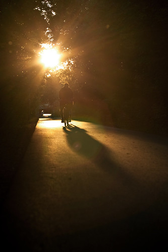 sunset shadow bike bicycle sonnenuntergang flies biker dots schatten fahrrad flares solingen fliegen lensflares fahrradfahrer korkenziehertrasse