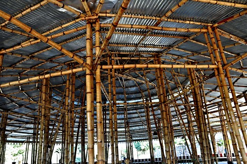 bamboo assam recreationpark diphu karbianglong 28032010 serdihunakormandu diphumanjard