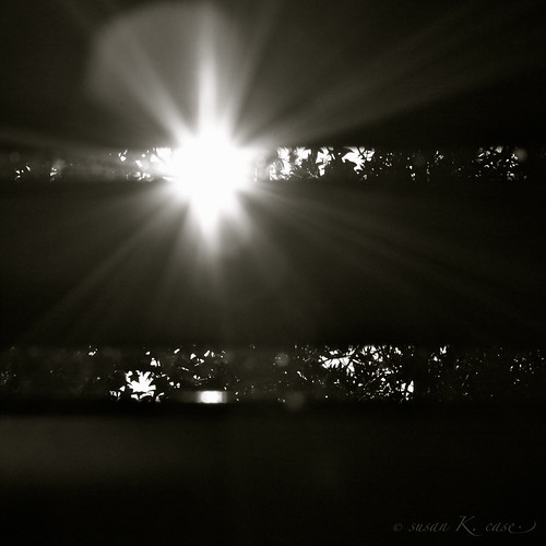 blackandwhite bw sunlight shutter solarflare
