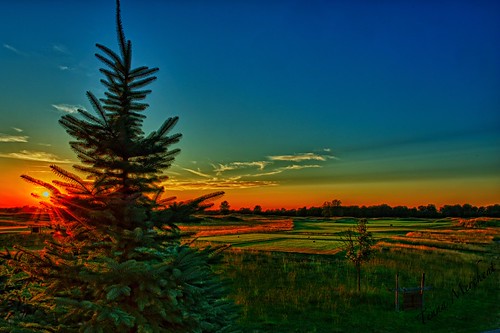 sunset golftee