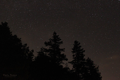 park sky tree night stars headlands