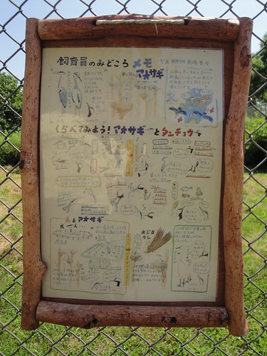 hokkaido 北海道 kushiro 釧路 redcrownedcrane 丹頂鶴自然公園 丹頂鶴 タンチョウ