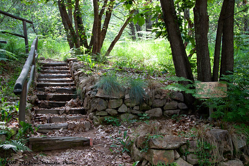 home stairs forest photoshop canon project found eos during photo back day with shot post 33 © like it 49 come l production ive 365 usm ef f4 stefano 49th lightroom 70200mm 500d 2011 minella cs5 49365 mygearandme