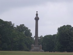 Holkham Hall - The Coke Monument and deer